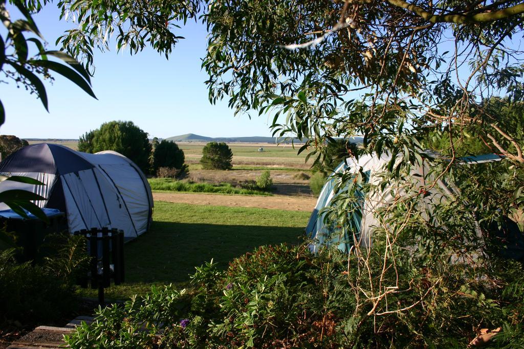 Millicent Hillview Caravan Park エクステリア 写真