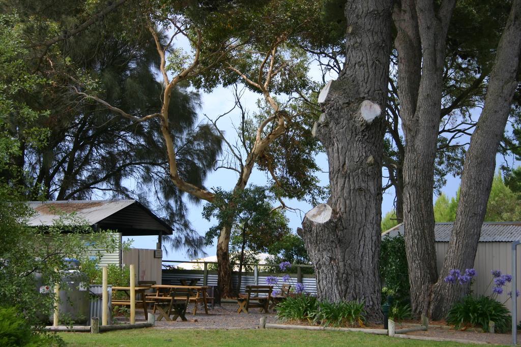 Millicent Hillview Caravan Park エクステリア 写真