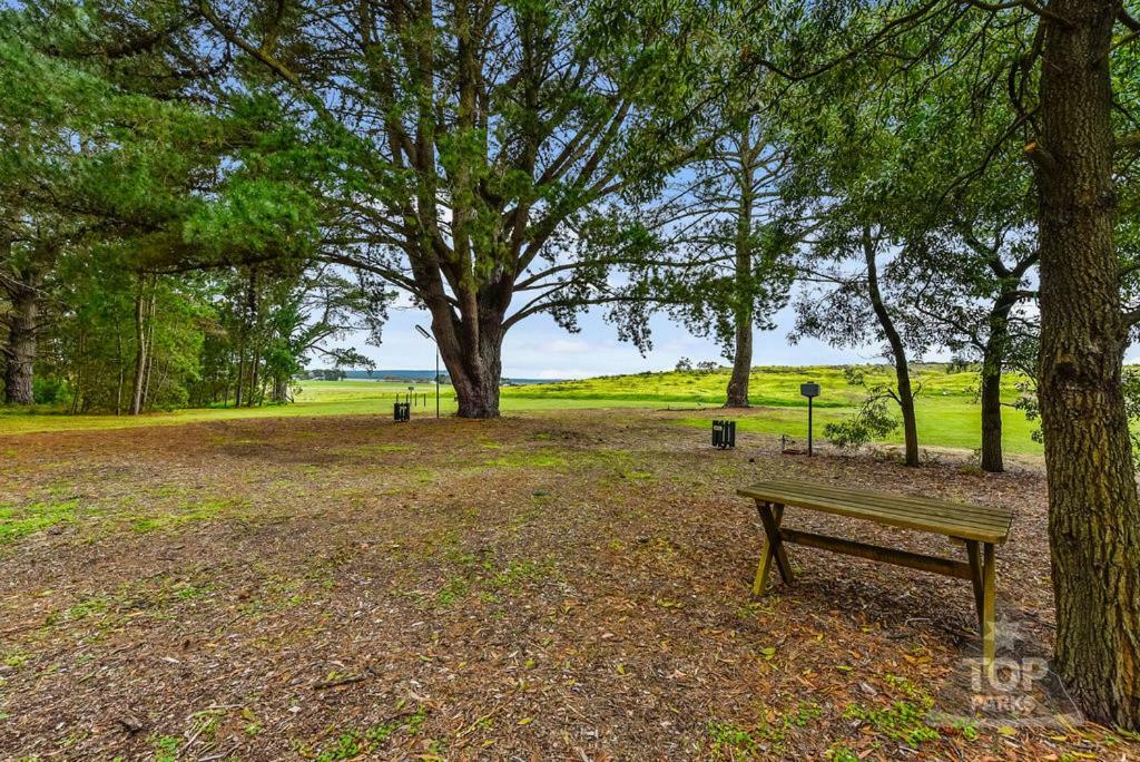Millicent Hillview Caravan Park エクステリア 写真